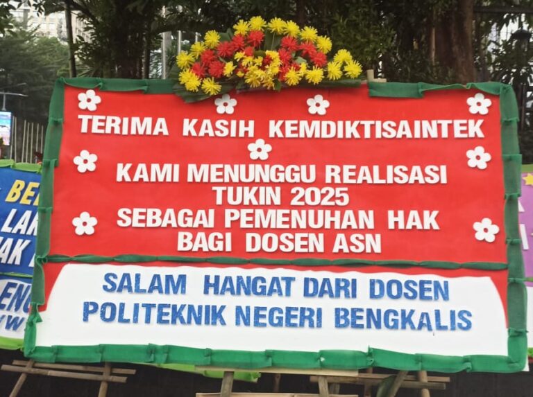 WhatsApp Image 2025-01-06 at 19.14.04